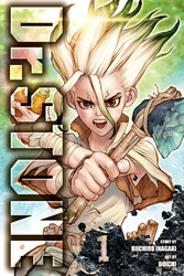 Dr. STONE